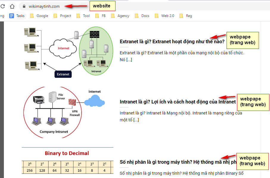 Sự khác nhau giữa trang web và website